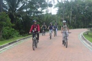 Read more about the article Parque do Utinga – liberação gradativa de exercícios ao ar livre