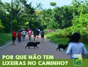 Read more about the article Saiba por que não há lixeiras nas trilhas do Parque Estadual do Utinga