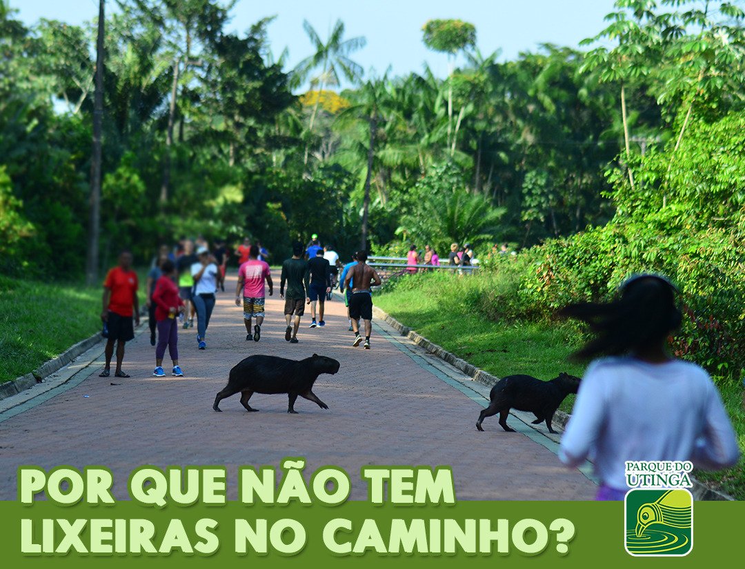 You are currently viewing Saiba por que não há lixeiras nas trilhas do Parque Estadual do Utinga