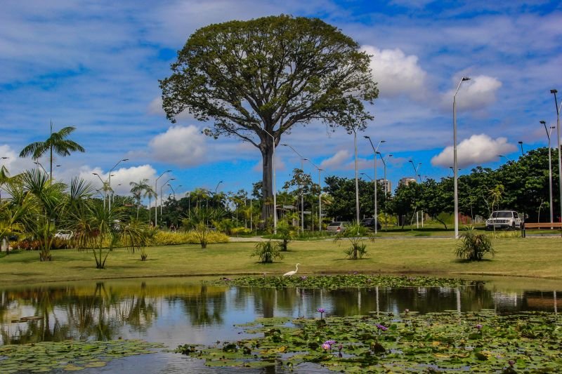 No momento você está vendo No dia da árvore, Parque do Utinga e Mangal das Garças são reservas fundamentais à cidade