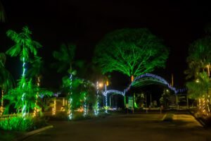 Leia mais sobre o artigo Parque do Utinga, Estação e Mangal terão programação especial de Natal; confira