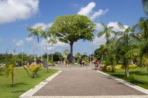 Leia mais sobre o artigo Parque do Utinga, Mangal e Estação estarão abertos no dia 8, feriado de N. Sra. da Conceição